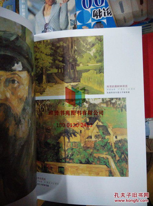 实拍图 世界名画绘画大师家 塞尚画集 塞尚油画精品集 董洪全主编
