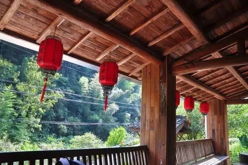 临安最佳赏秋地的5家精品民宿,金黄银杏美成一幅印象派油画